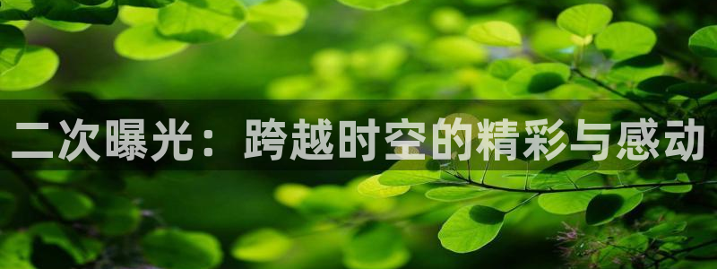 二次曝光：跨越时空的精彩与感动