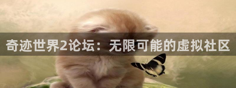奇迹世界2论坛：无限可能的虚拟社区